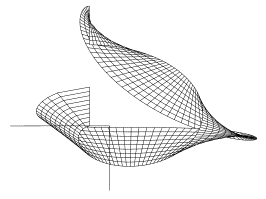 Obr. 1b.  Plocha vytvorena z evolventy - pravo�hl� prumet plochy