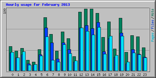 Hourly usage for February 2013