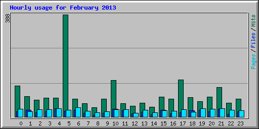 Hourly usage for February 2013