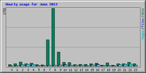Hourly usage for June 2013