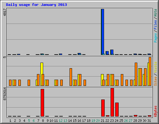 Daily usage for January 2013