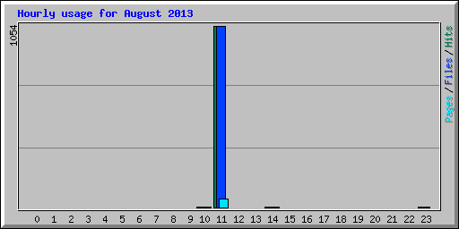 Hourly usage for August 2013